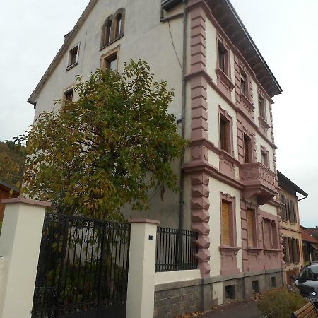 Ferienwohnung Chez Moera -Sur la Route Des Vins - Kaysersberg Exterior foto
